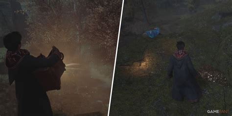Hogwarts Legacy: How to Complete A Thief in the .